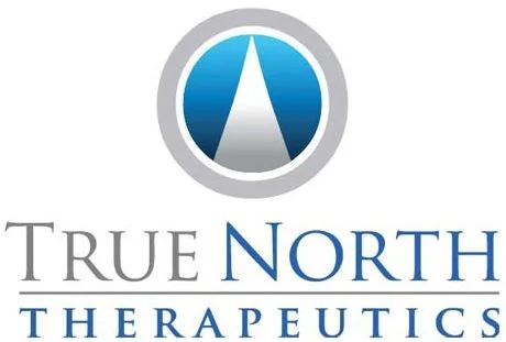 TrueNorth Logo multi-colored