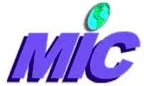 Logo with MIC and globe design.