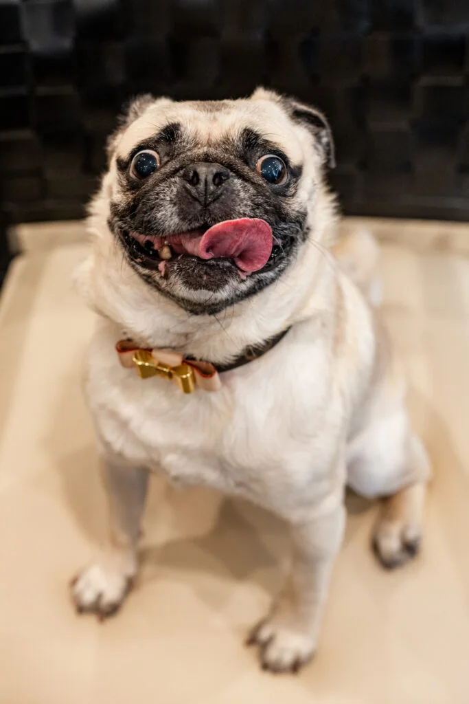 Luna