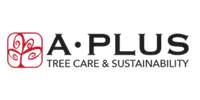 A Plus Logo