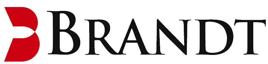 Brandt Information Services Logo